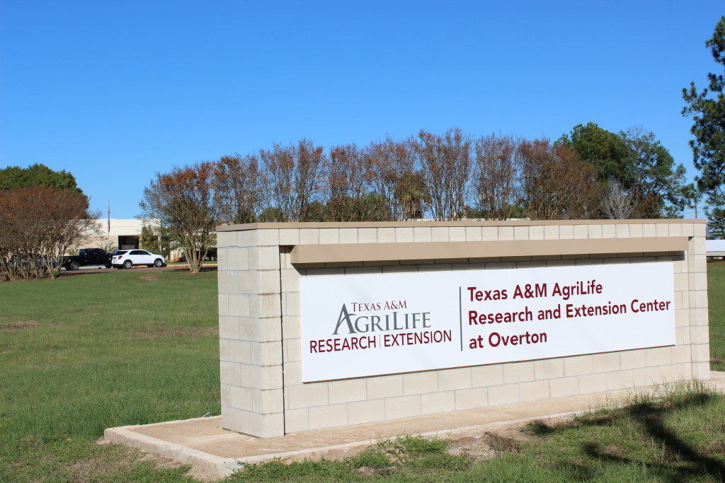 Texas A&M AgriLife Research and Extension Center at Overton sign with the building in the background.