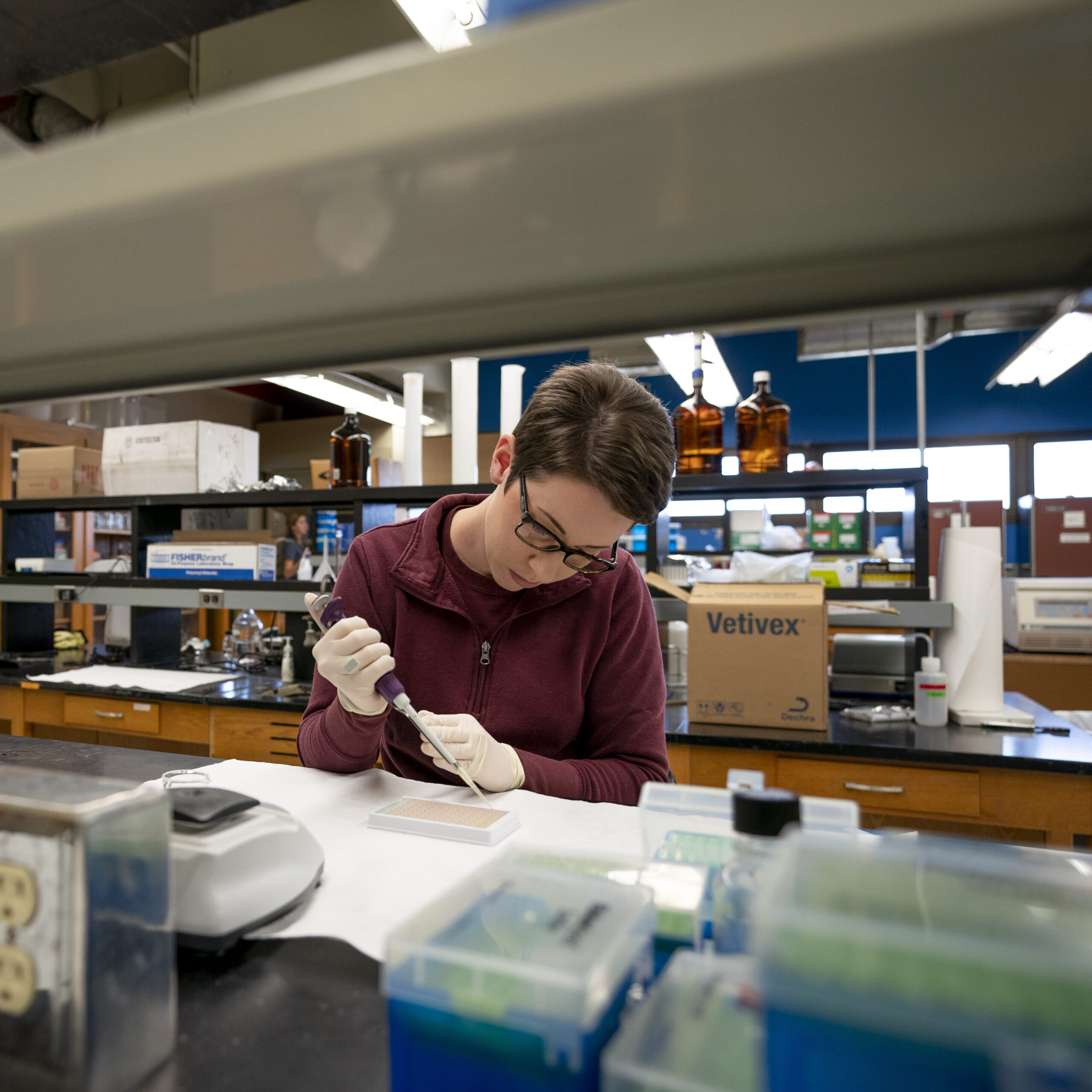 Person working in a lab, as an example of the animal science agency focused on research.