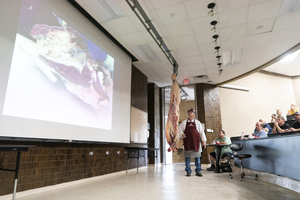 A professor showing a carcass that is hanging in the front of the classroom to ll the students.