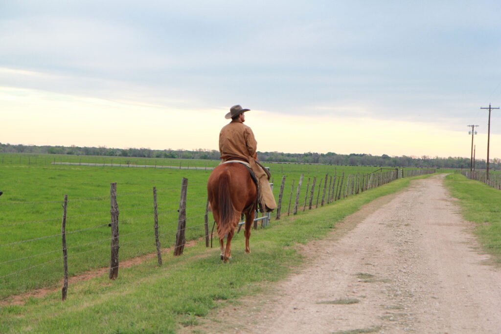 Man riding a horse on a dirt road next to a green field that is surrounded by a fence, part of the Animal Science facilities.