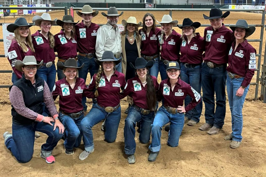 The Ranch Horse Team