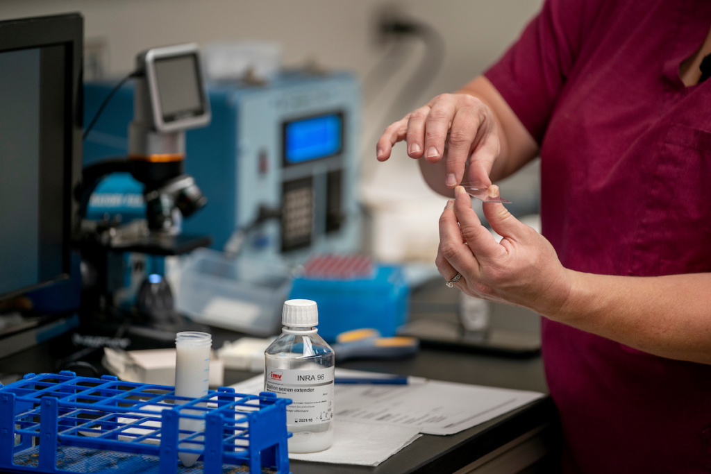 Two hands holding lab materials.