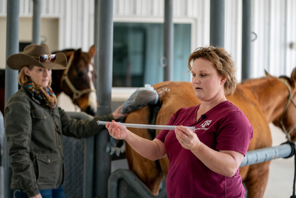 Veterinarian with horse.