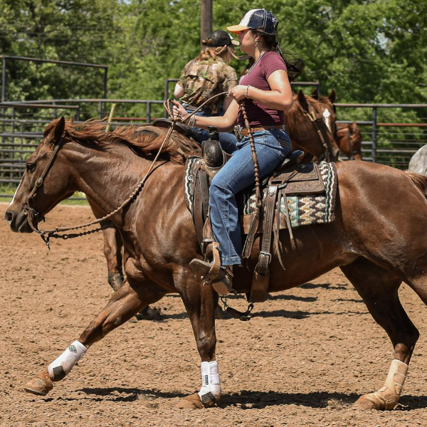 Woman riding horse in arena.
