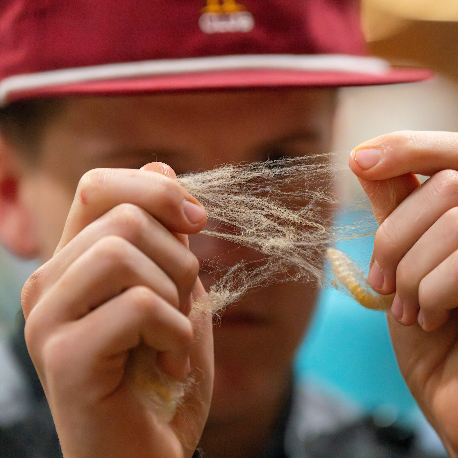 Close-up of a students examining samples for wool judging during ANSC youth clinics. 