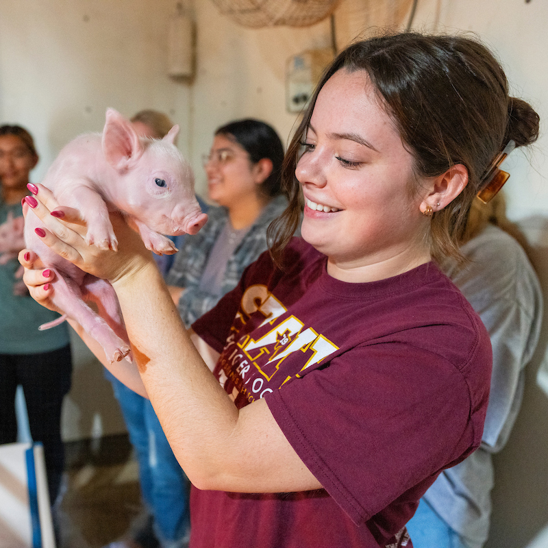 a female student holding a baby pig
